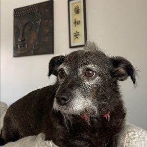 Meet your Posher, Gregory